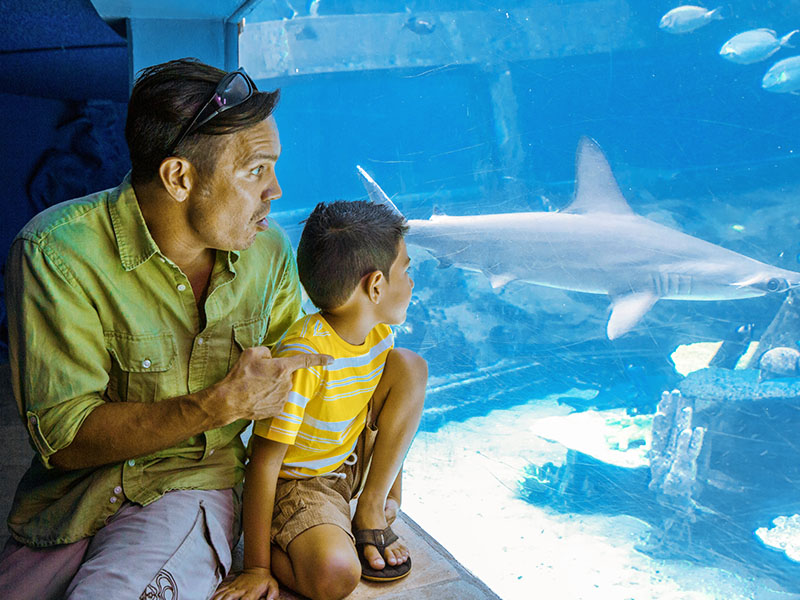 Best things to do in Oahu with kids
