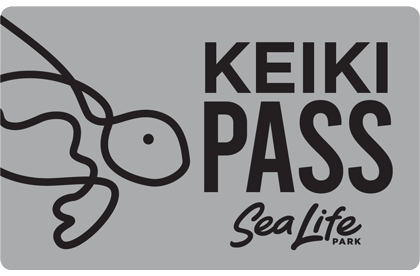 Keiki Pass 