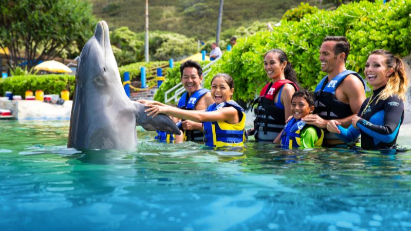 Family with Dolphin in pool