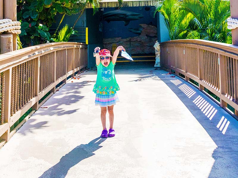 3 unique and fun things to do in Honolulu with kids