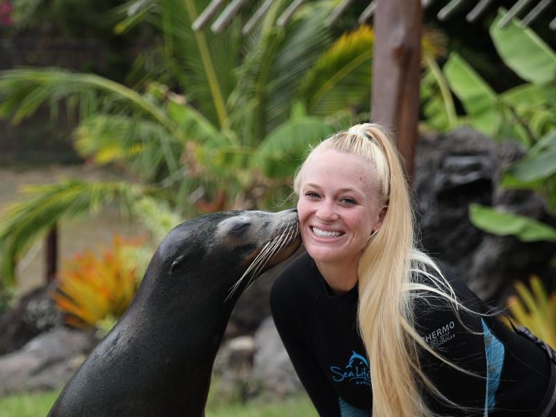 Sea Lion Encounter