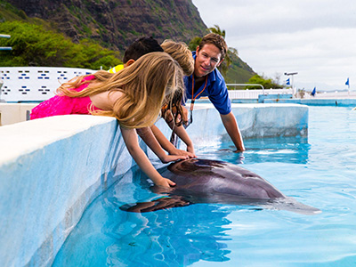 Family with Dolphin