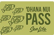 'Ohana Nui Pass