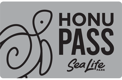 Honu Pass