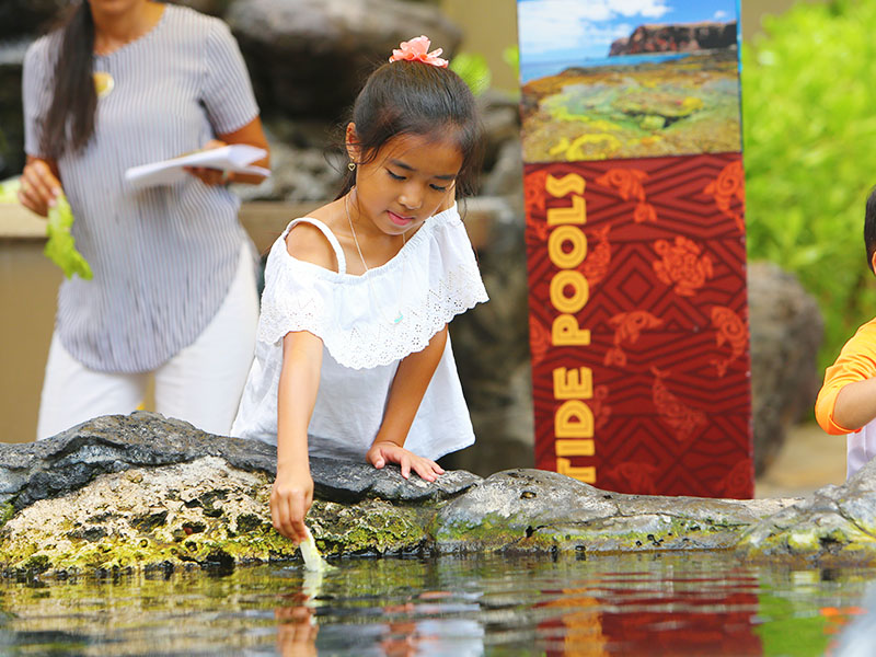 Girl at Touch Pool