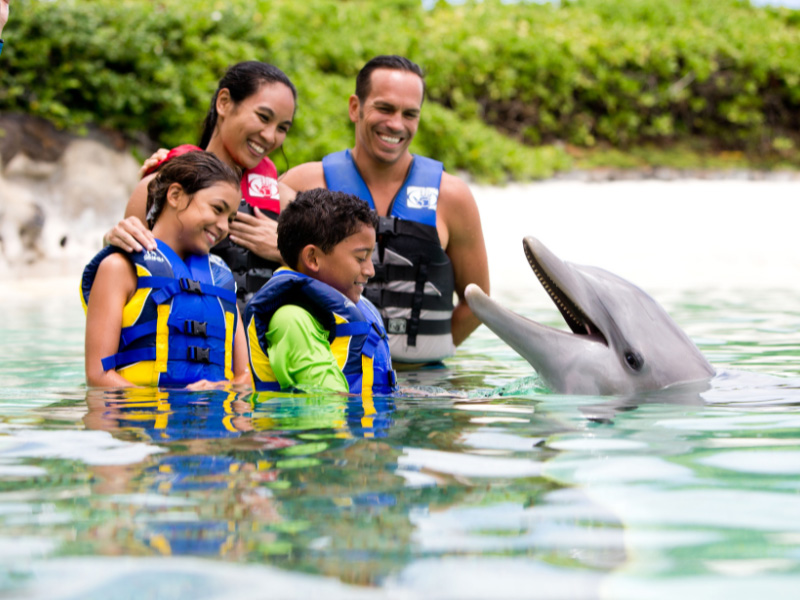 Family enjoying Dolphin