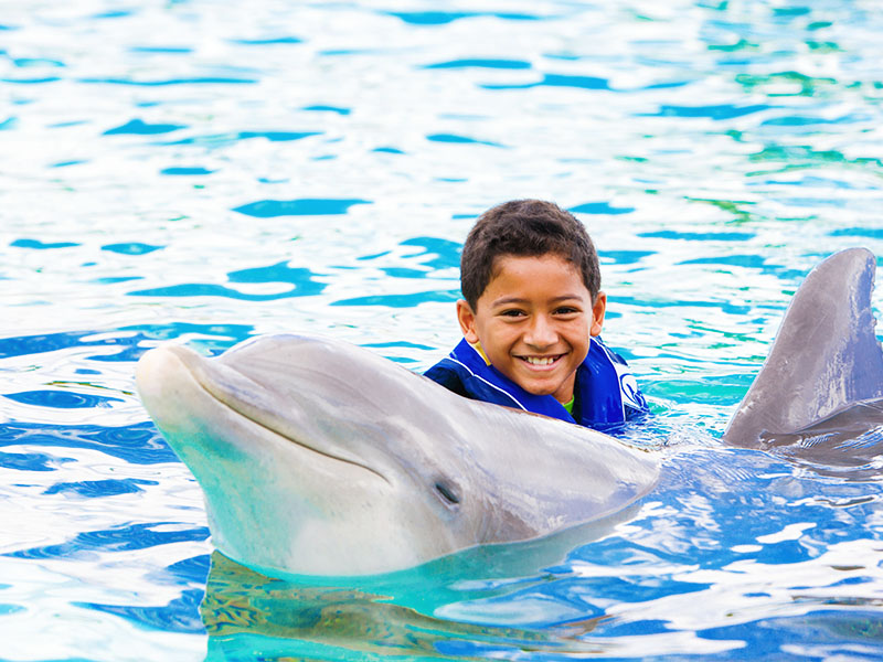 Family interacting with Dolphin