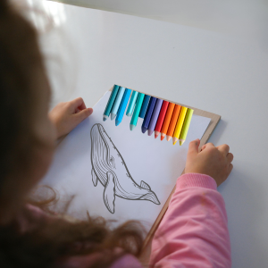 Child Coloring Whale Illustration