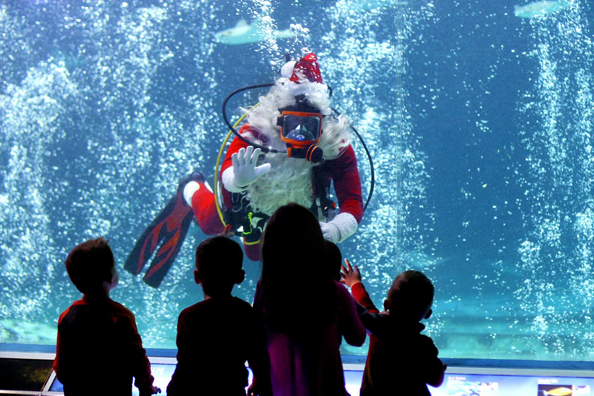 Scuba Santa