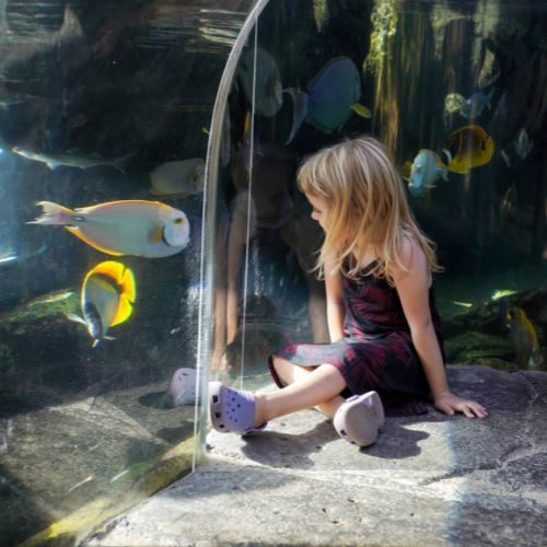 Child at Discovery Pool