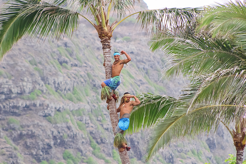 Tree climbing