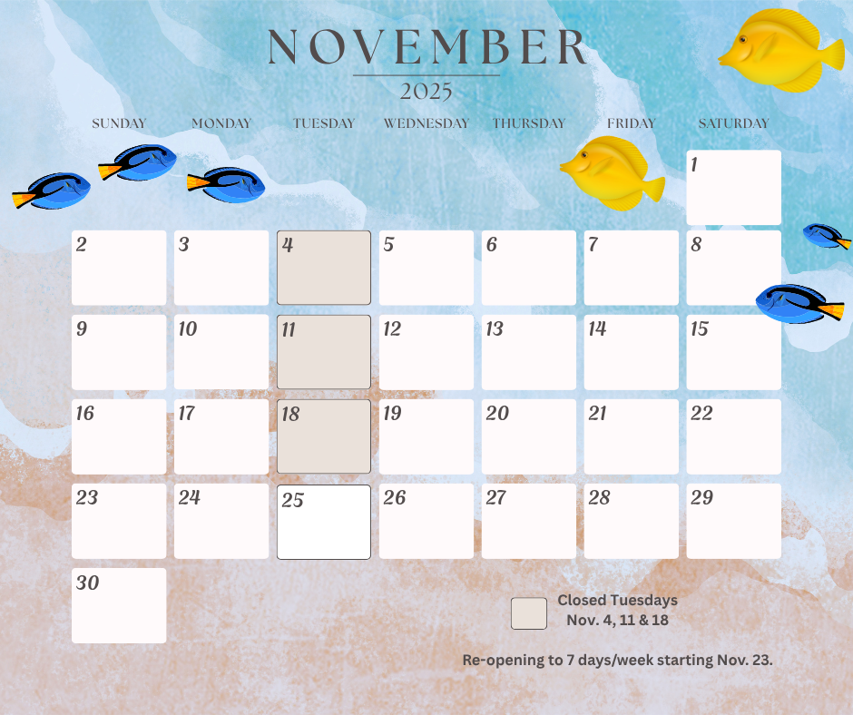 November calendar