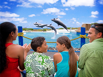 Family watching dophin